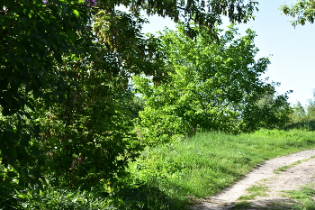 Weg / ***