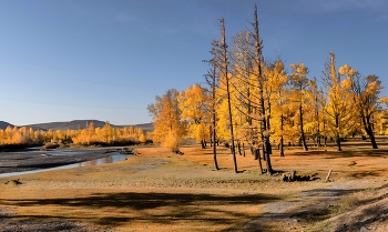 Altai Herbst / ***