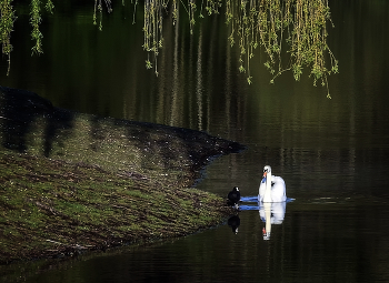 Idylle / ***
