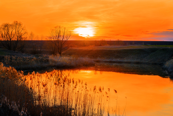 Feld / ***