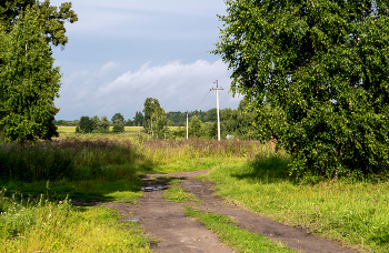 Nach dem Regen / ***