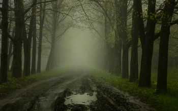 Weg / ***