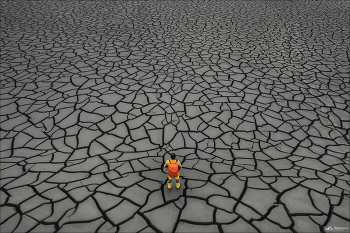 Cracked Land / ***