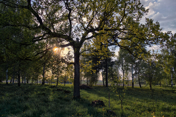 Mai-Abend / ***