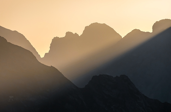 Abendlicht / ***