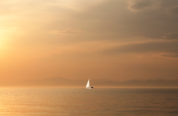 White Sail ... / ***