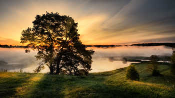 Nebel zerstreut / ***