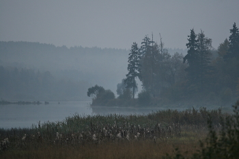 Morgen auf dem See / ***