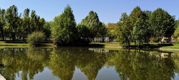 Frühling Reflexion / ***
