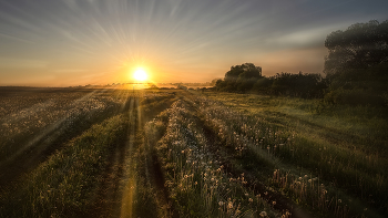 Morgendämmerung / ***