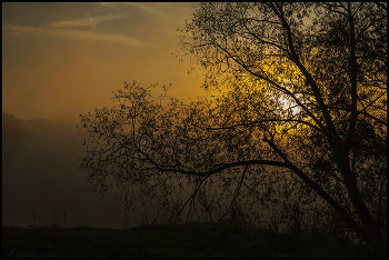 Nebliger Morgen / ***
