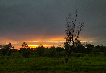 Dayparting ... / ***