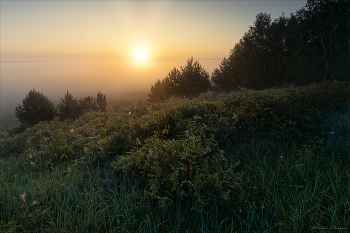 Morgendämmerung / ***