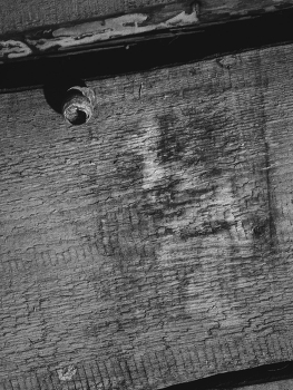 Leben rund um / ***