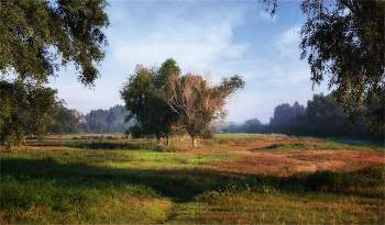 Sommer in vollem Gange ... / ***