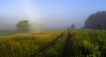 Sommermorgen. / ***