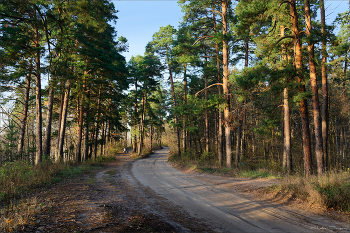 Wanderung / ***