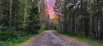 Abend im Wald / ***