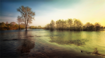 Spring flood / ***