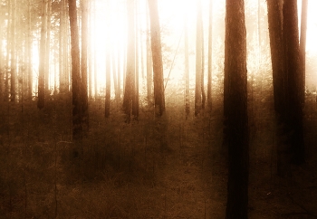 Geheimnis / ...