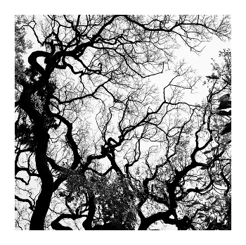 Branchen. / ...