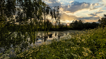 Abendlandschaft / ***