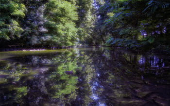 Canal Park / ***
