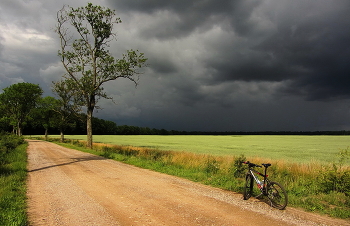 Vor dem Regen / ***