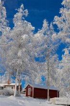 Wintermorgen / ***