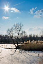Winter / ***