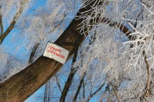 Winter / ***