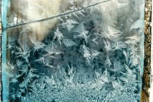 Wintervögel / ***