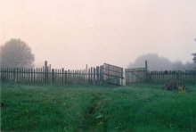 Nebel am Morgen / ***