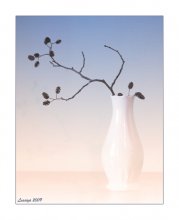 Branch ... / ***