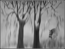 Dreams / *****
