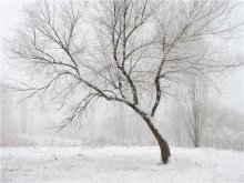 Weißer Schnee ... / ***