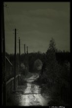 Homeward Bound / ***