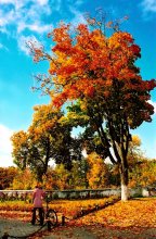 Herbst / ***