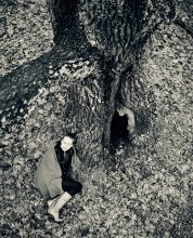 An der Wurzel / ***