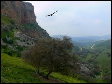 Spaziergang auf Israel / ***