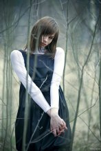 The world of imaginations, the world of mirror trees / Leonarda