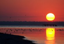Last Sunset / ***