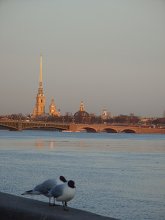 Mein St. Petersburg / *****
