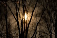 Caught der Sonne / ***
