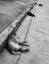 Life Line .... oder ***** / ................................