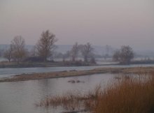"Morgen" / ***