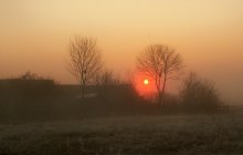 Morgen / ***