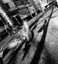 Ohne Titel / *****