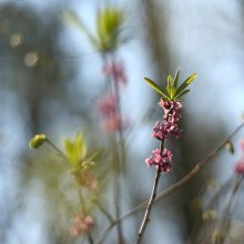 April. / ***