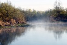Nebel / ***